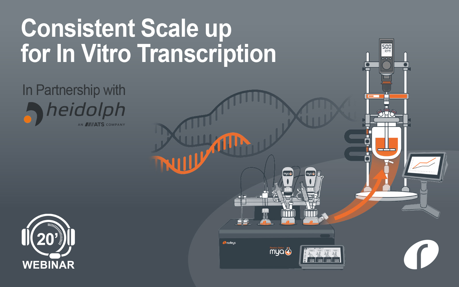 Consistent Scale up for In Vitro Transcription