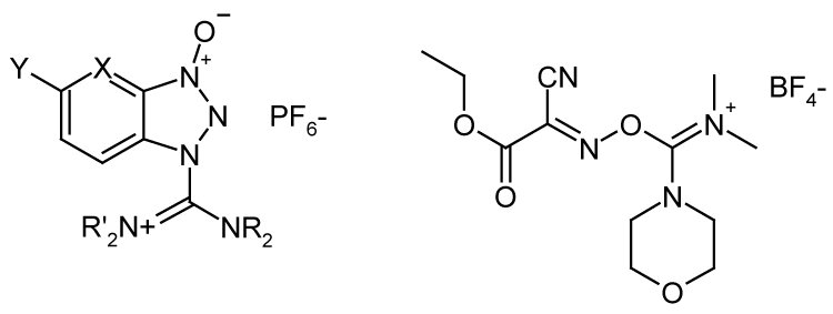 Aminium_Coupling_Hepatochem_Interchim_0817