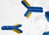 Banner_Antibodies_AssayBiotech_Interchim_0317