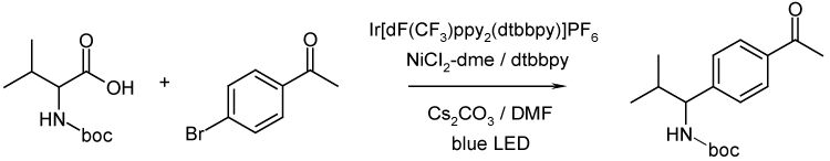 C-C_Coupling_IrNi_Hepatochem_Interchim_0817