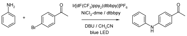 C-N_Coupling_IrNi_Hepatochem_Interchim_0817