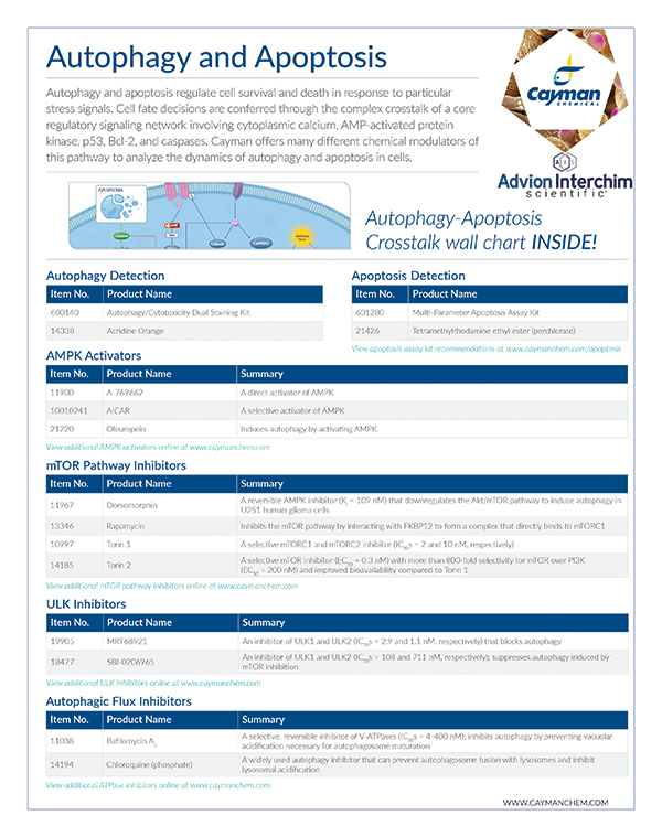 Catalog_Autophagy_Apoptosis_Cayman_Advion_Interchim_Scientific_1124