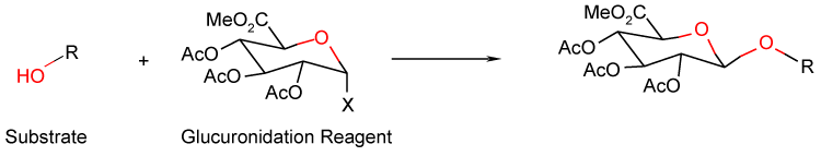 CouplingGlucuronidation_Hepatochem_Interchim_0817