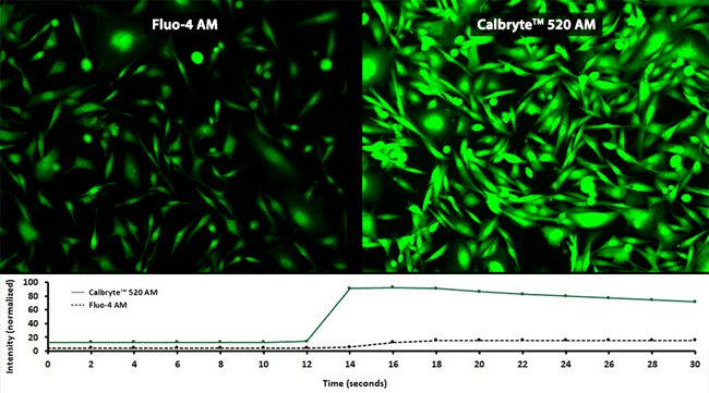 Fluo4_AAT_Bioquest_Interchim_0917