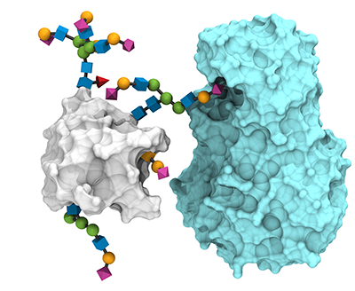 Glycan_Detection_Advion_Interchim_Scientific_0622