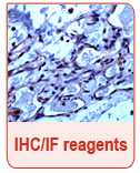 IHC_IFReagents_Interchim_0416