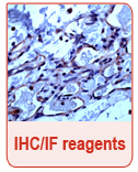 IHC_IFReagents_Interchim_0416
