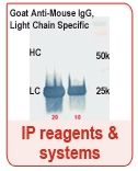 IP_Reagents_Systems_Interchim