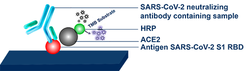 Image_SARS-CoV-2_ELISA_Interchim_0221