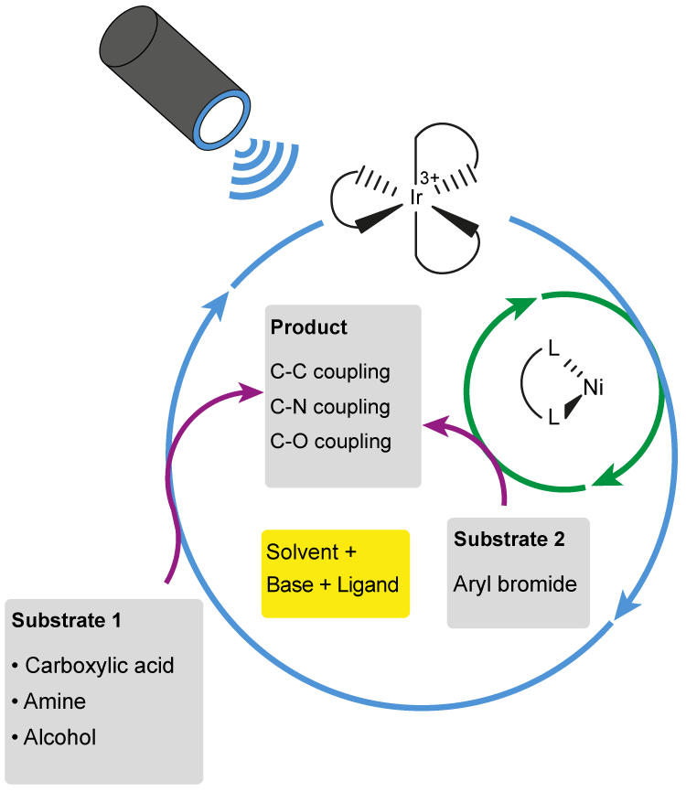 Iridium_Nickel_Hepatochem_Interchim_1017