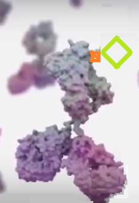 Lightning-Link_Antibody_Innova_Biosiences_Interchim_0617