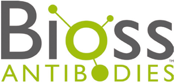 Logo_Bioss_Antibodies_Interchim_0417