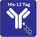 Picto_His12Tag_Advion_Interchim_Scientific_0122