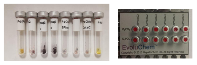 Reagent_Screen_System2_Hepatochem_Interchim_0917