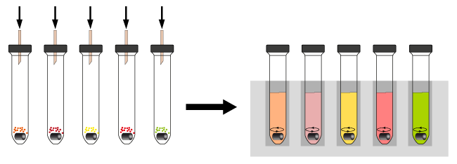 Reagent_Screen_System_Hepatochem_Interchim_0917