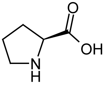 S-Proline_Hepatochem_Interchim_0817