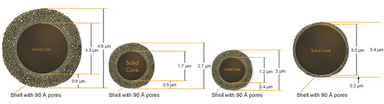 SolidCore_AMT_Interchim_0217