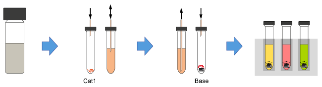 Strong_Base_Arrays_Hepatochem_Interchim_0817