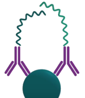 Thunder-Link_Innova_Biosciences_Interchim_0617