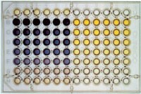 ELISA microplate assay