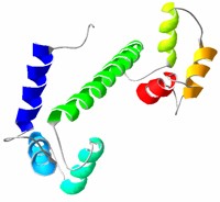 Calmodulin recombinent protein. / Image from public domain from wikimedia